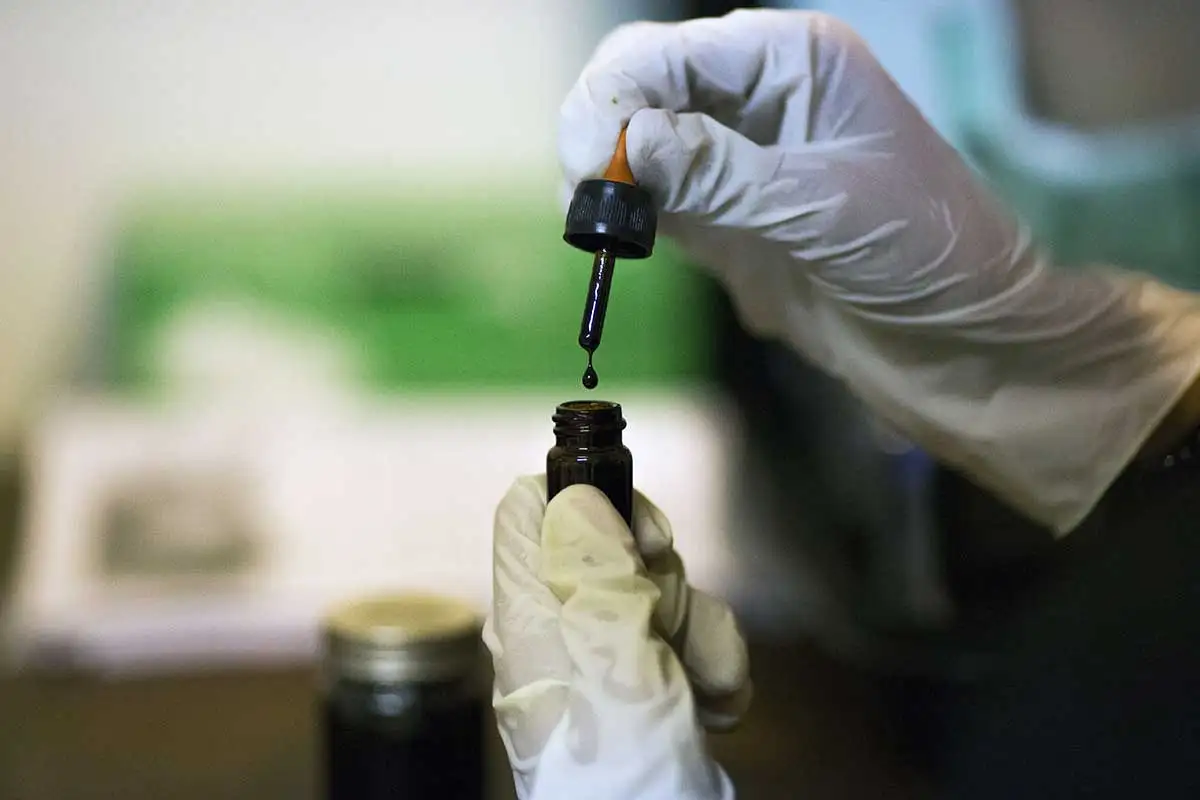 THC / CBD Cannabis Oil Europe for Premium Cannabis Users