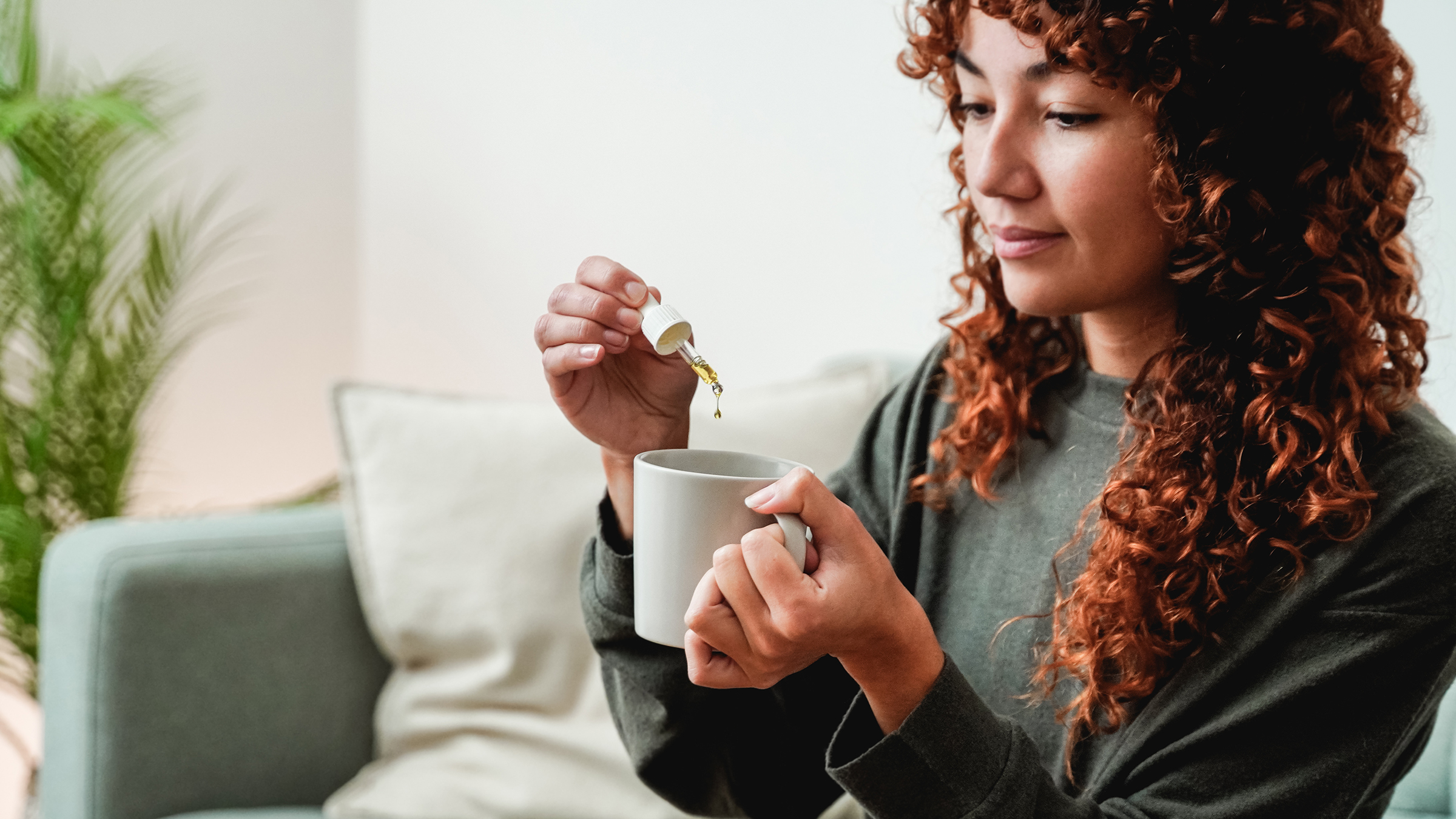 THC / CBD Cannabis Oil Europe for Premium Cannabis Users